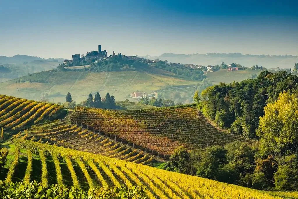 Pahare de vin roșu pe o masă de lemn, într-o seară obișnuită