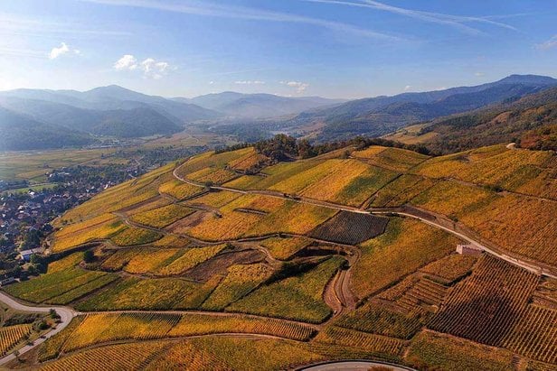 Ce înseamnă cu adevărat Grand Cru?