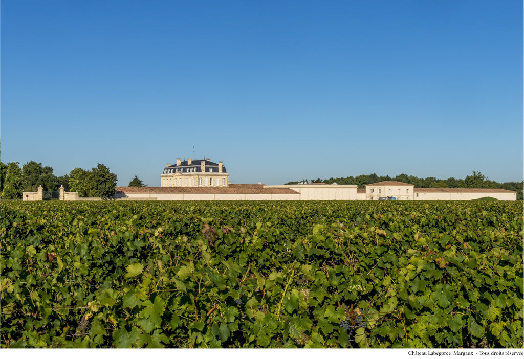 Castel din regiunea Margaux, Bordeaux, văzut dinspre est