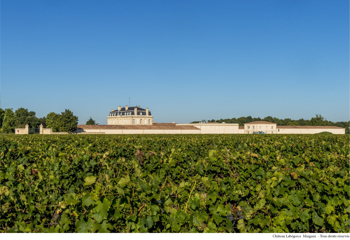 Castel din regiunea Margaux, Bordeaux, văzut dinspre est