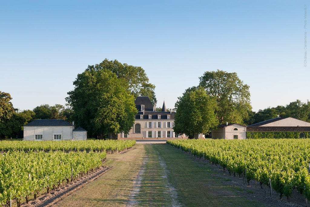 Château și vie din Bordeaux – vinuri pentru grătar
