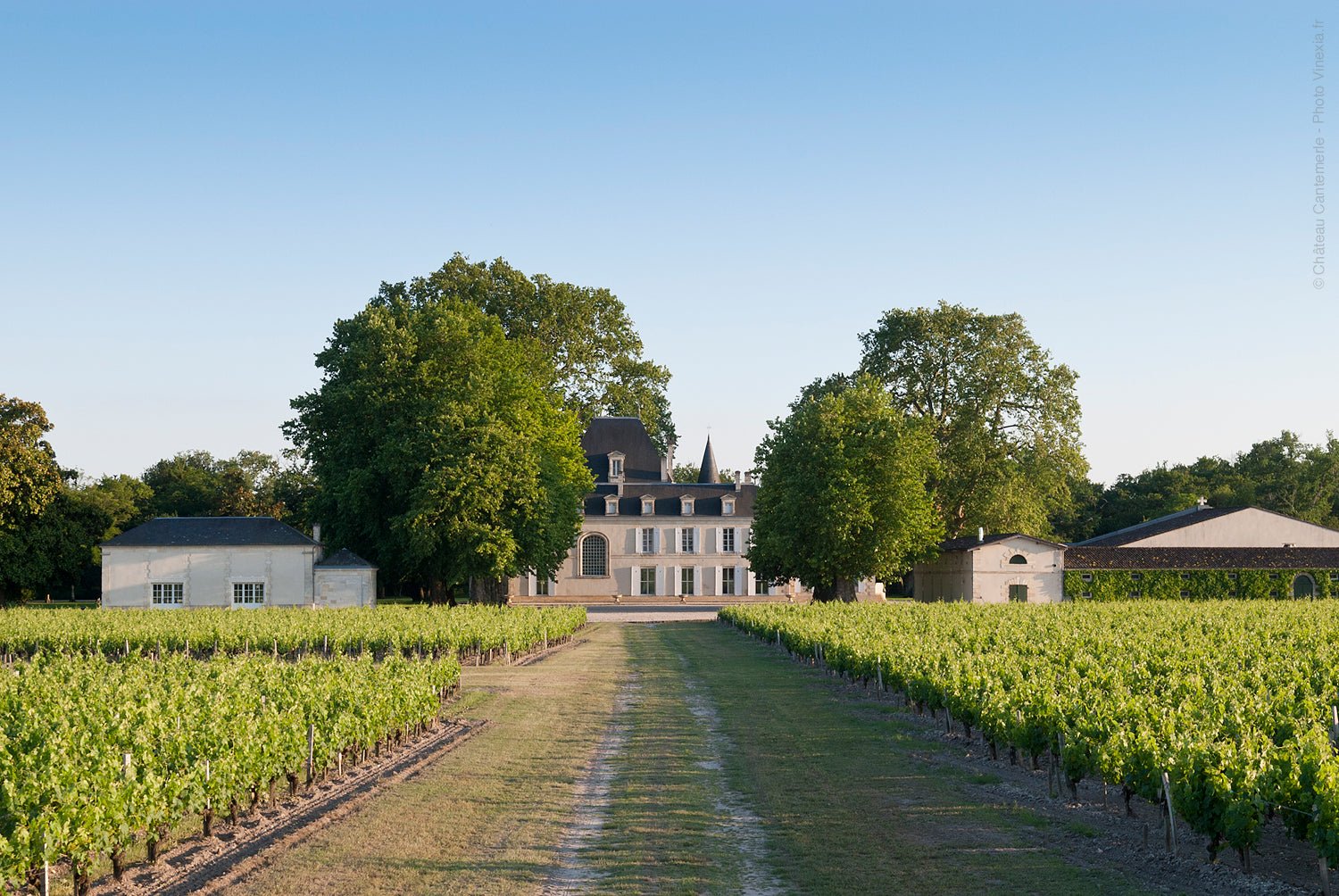Château și vie din Bordeaux – vinuri pentru grătar