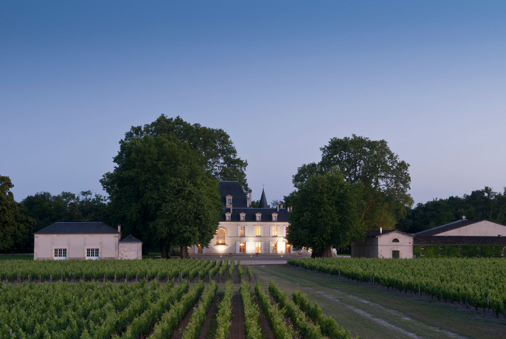 Castel și vii luminate noaptea, în Bordeaux