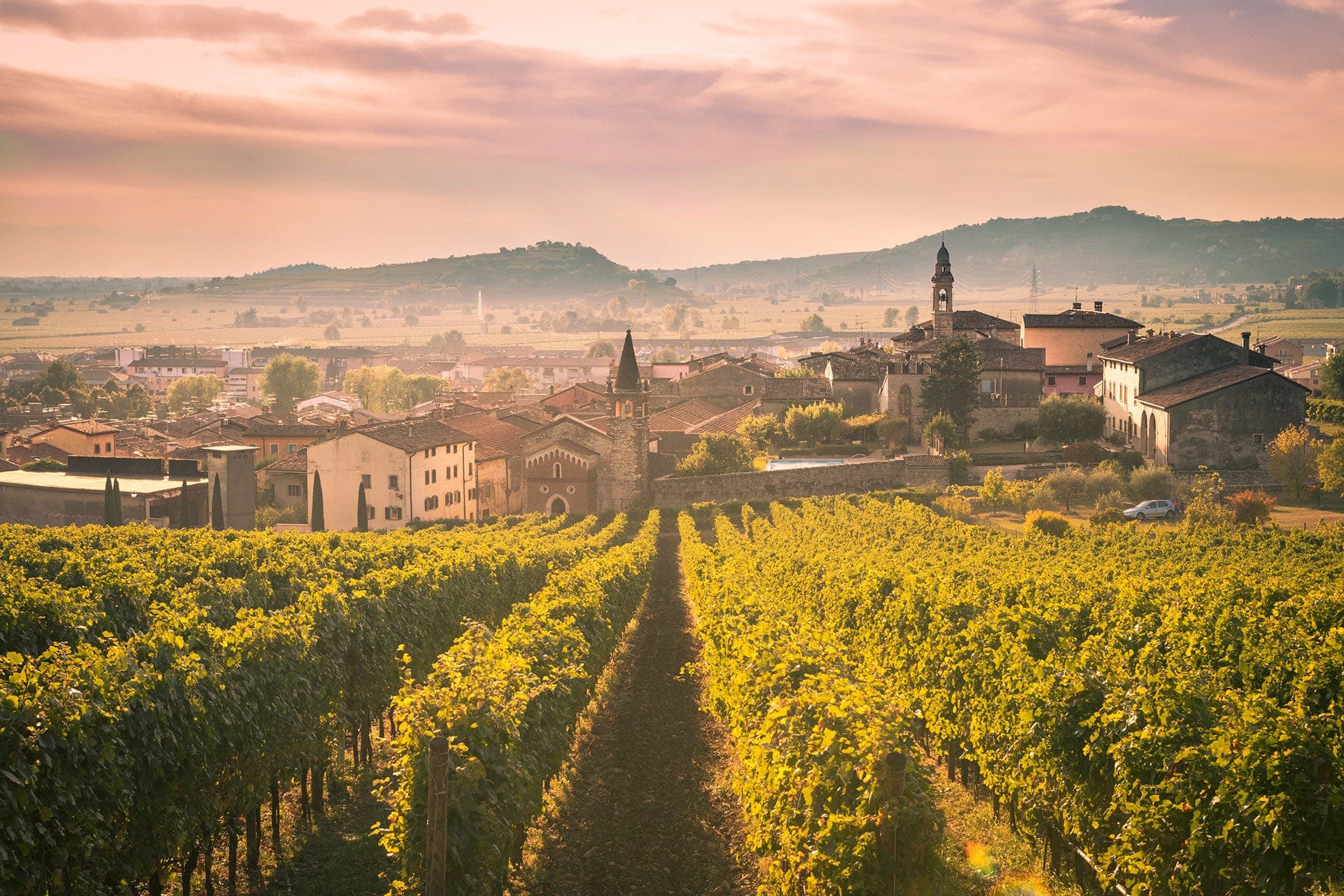 Dealuri cu vii în Veneto, regiunea vinurilor Valpolicella și Amarone