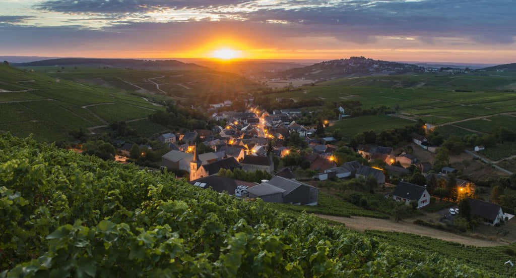 Sancerre: Vinurile albe care fascinează iubitorii de Sauvignon Blanc