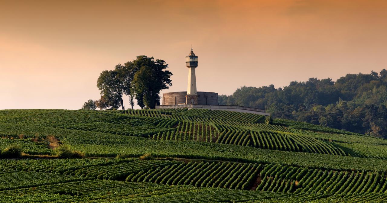 Regiunea Champagne, Franța – vinuri cadou premium