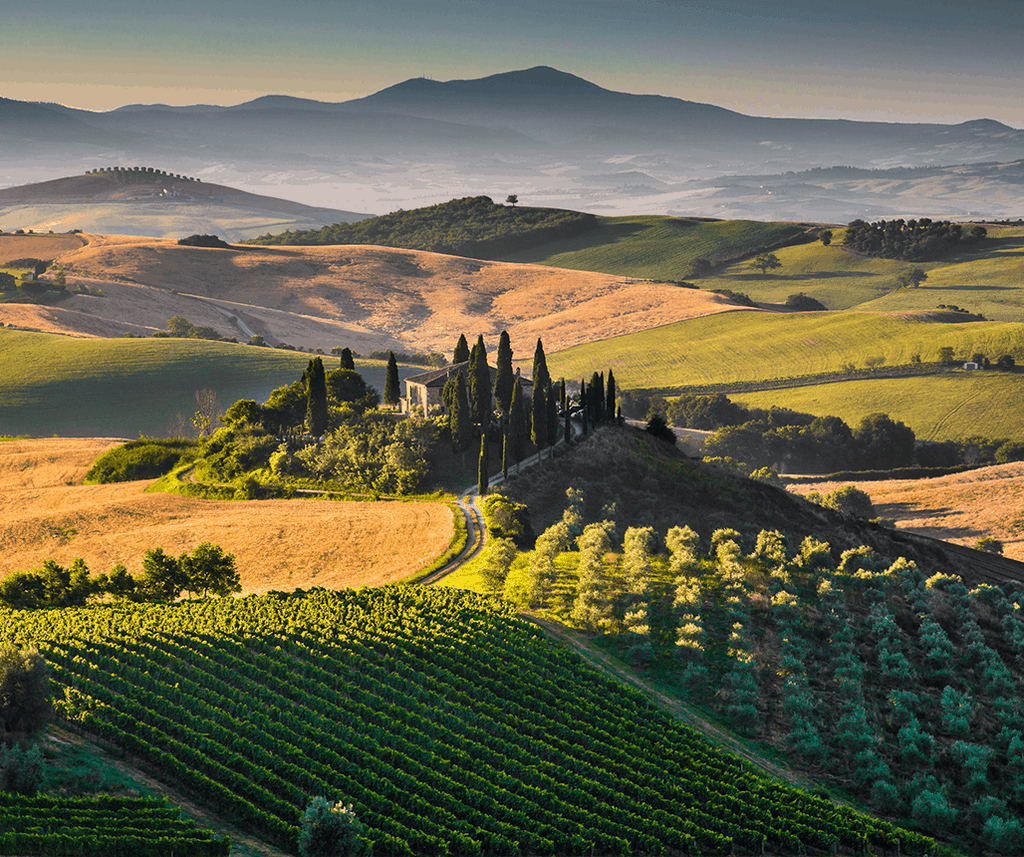 Peisaj cu dealuri și vii în Toscana, patria soiului Sangiovese
