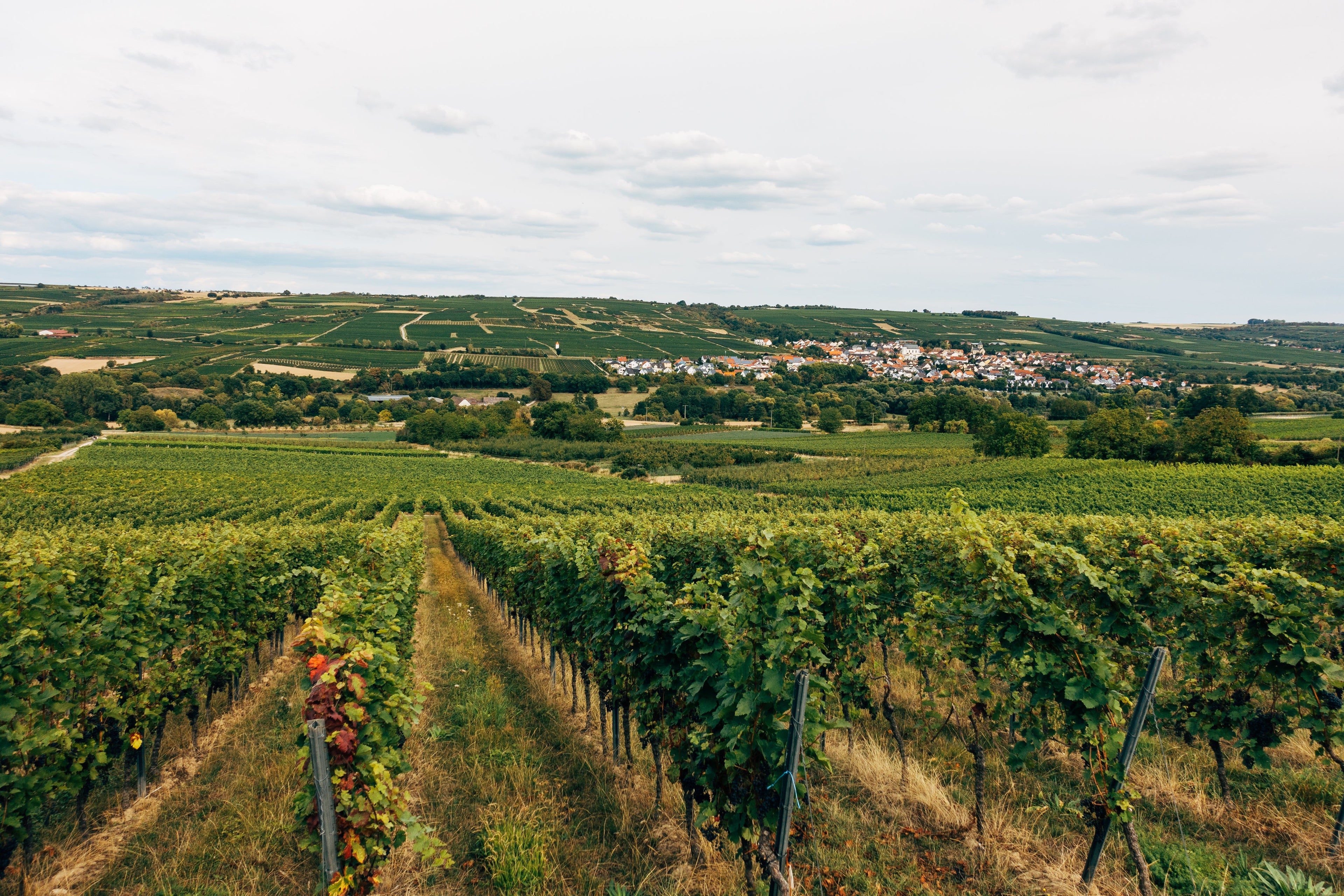 Vie de deal cu vedere spre un sat de țară