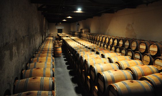 Ghidul vinurilor din Bordeaux: De la Saint-Estèphe la Pauillac