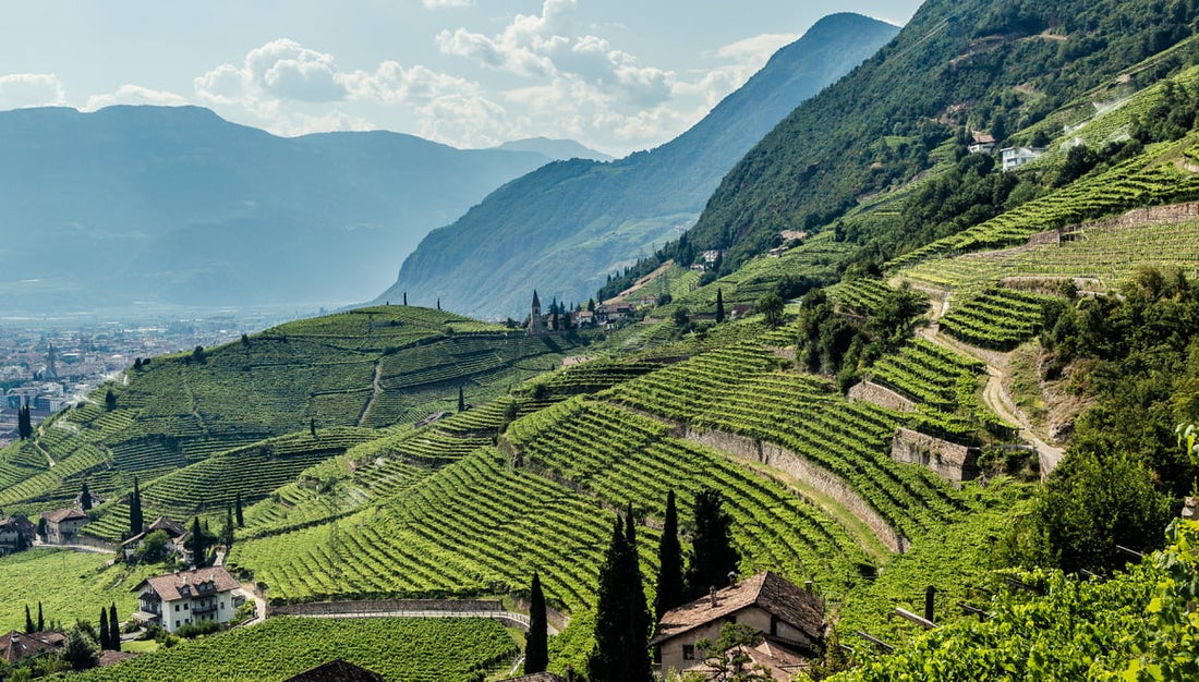 Alto Adige